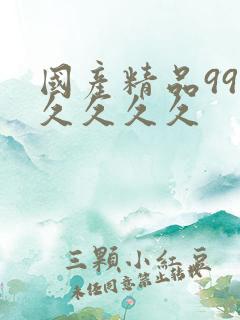 国产精品99久久久久久