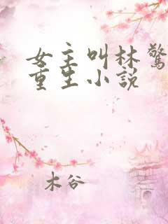 女主叫林惊澜的重生小说