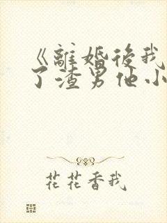 《离婚后我嫁给了渣男他小叔》小说