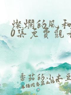 灿烂的风和海40集免费观看