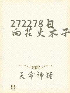 272278日向花火木子
