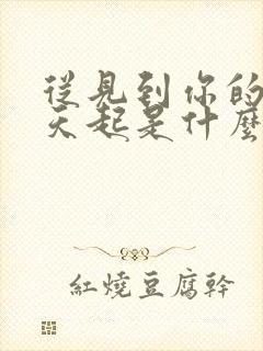 从见到你的那一天起是什么歌