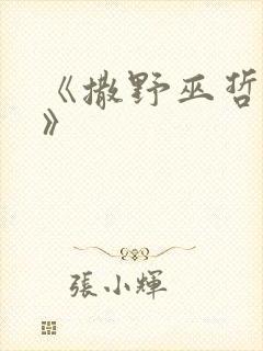 《撒野巫哲小说》