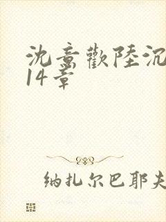 沈意欢陆沉舟第14章