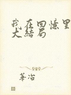 我在回忆里等你大结局