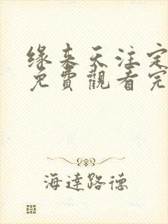 缘来天注定泰剧免费观看完整版番外