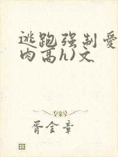 逃跑强制爱(巨肉高h)文