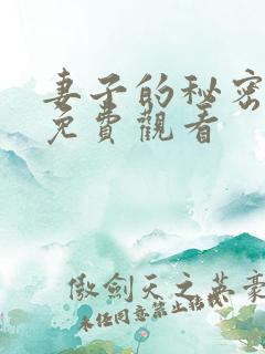 妻子的秘密韩剧免费观看