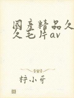 国产精品久久久久毛片av