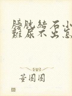 膀胱结石小便困难尿不出怎么办