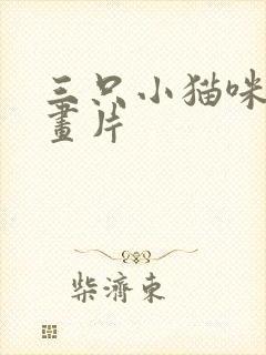 三只小猫咪的动画片