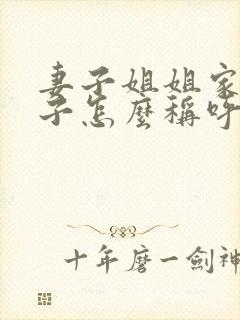 妻子姐姐家的孩子怎么称呼