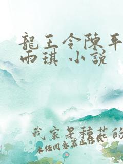 龙王令陈平,苏雨琪 小说