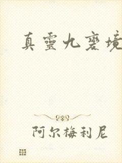 真灵九变境界