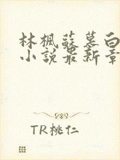 林枫苏慕白穿越小说最新章节更新完了吗