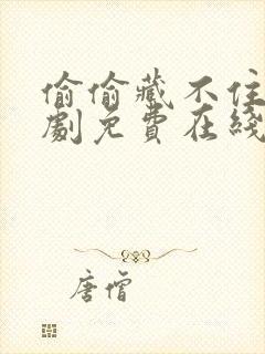 偷偷藏不住电视剧免费在线看