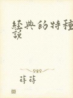 经典的特种兵小说