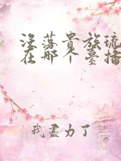 没落贵族琉璃川在哪个台播出