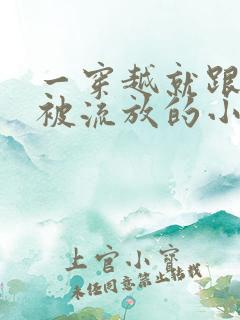 一穿越就跟王爷被流放的小说