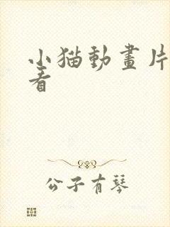 小猫动画片给猫看