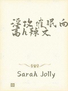 淫攻催眠向np高h辣文