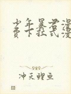 少年暴君漫画免费下拉式漫画星球