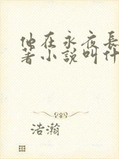 他在永夜长眠原著小说叫什么