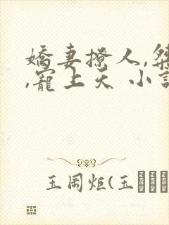 娇妻撩人,桀爷,宠上天 小说