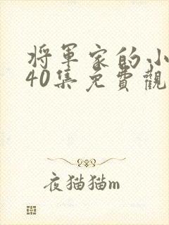 将军家的小娘子40集免费观看