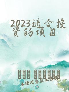 2023适合投资的项目