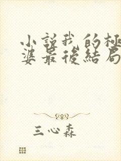 小说我的极品老婆最后结局如何