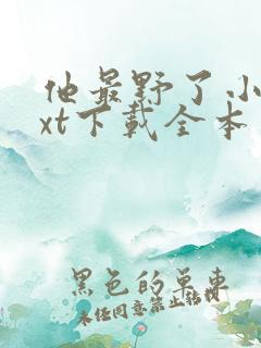 他最野了小说txt下载全本免费