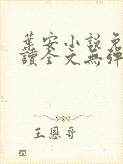 叶安小说免费阅读全文无弹窗