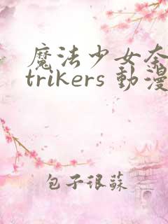 魔法少女奈叶strikers 动漫