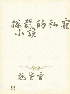 总裁的私宠甜妻 小说