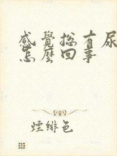 感觉总有尿意是怎么回事