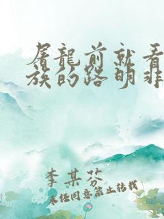 屠龙前就看了龙族的路明非 小说
