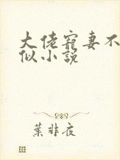 大佬宠妻不腻类似小说