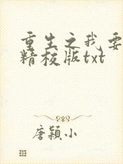 重生之我要冲浪精校版txt
