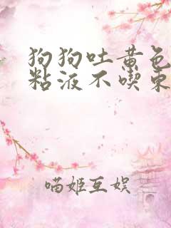 狗狗吐黄色泡沫粘液不吃东西怎么办