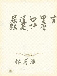 尿道口里有小肉粒是什么