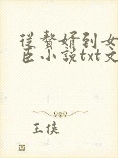 从赘婿到女帝宠臣小说txt文本下载