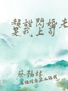 超甜闪婚老公竟是我上司