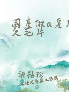 国产做a爰片久久毛片