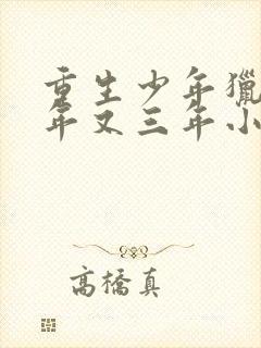 重生少年猎美三年又三年小说免费阅读下载