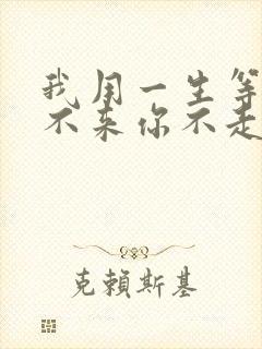 我用一生等你我不来你不走是什么歌