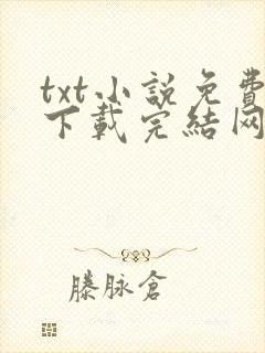 txt小说免费下载完结网站