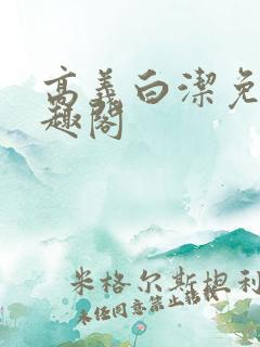 高义白洁免费笔趣阁