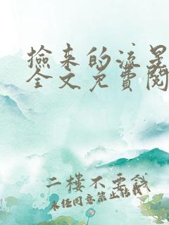 捡来的流星小说全文免费阅读