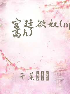 宫廷欲奴(np高h)